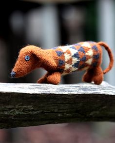 a small toy dachshund is sitting on a piece of wood with blue eyes