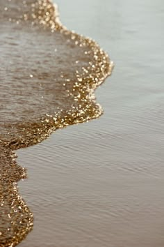 the bird is standing on the beach near the water