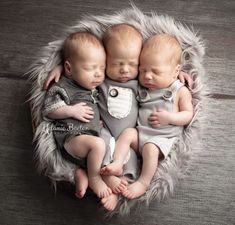 three baby babies are sleeping in a basket