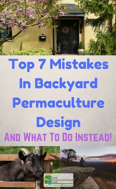 the top 7 things to do in backyard permaculture design and what to do instead