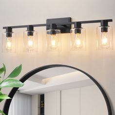 a bathroom vanity with three lights and a mirror on the wall next to a potted plant