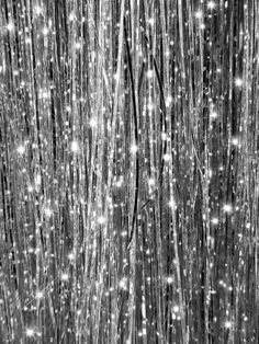 black and white photograph of snow falling from the top of trees with lights on them