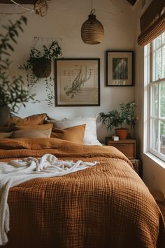 a bed sitting next to a window in a bedroom under a hanging plant on the wall