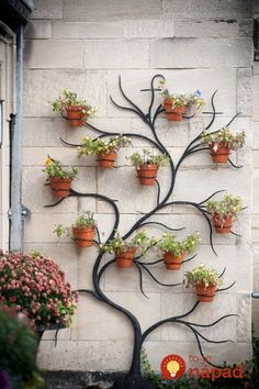 a tree that has many potted plants on it