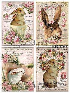 four different pictures of rabbits and roses on the same page, each with an image of a