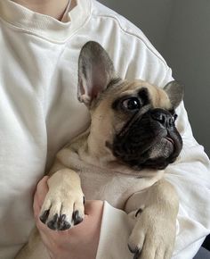 a small dog sitting on top of a person's lap with his paw in the air