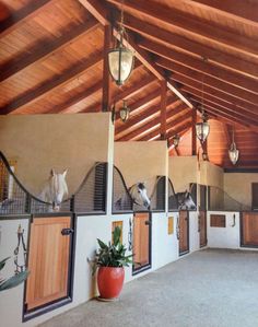 several horses are lined up in an indoor area with wooden ceilinging and exposed beams