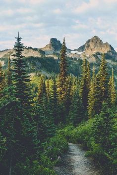 a path in the middle of a forest with mountains in the background