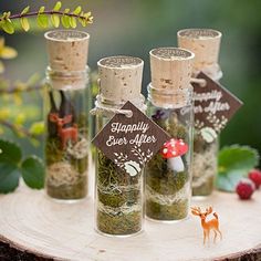 three bottles filled with different types of herbs