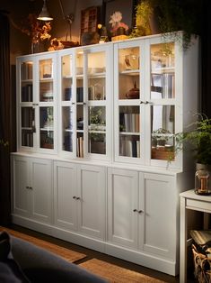 a white bookcase with glass doors and plants on top in a living room area