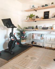 a home gym with an exercise bike and potted plants on the shelves above it