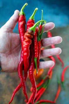 a person holding two red peppers in their hand