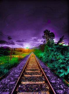 an image of a train track that is going through the woods at night with purple and green lighting