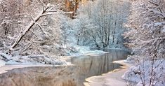 a river surrounded by trees covered in snow