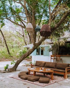 an outdoor seating area in front of a tree