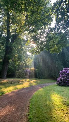 the sun shines brightly through the trees and grass in this beautiful park area with a dirt path