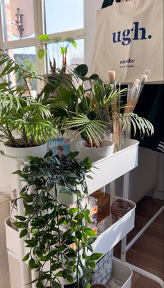 some plants are sitting on top of a shelf