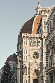 a large cathedral with a christmas tree in front of it