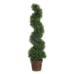 a tall potted plant is shown in the shape of a spirally shaped tree