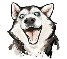 a drawing of a husky dog with his tongue out and eyes wide open, smiling