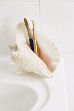 two toothbrushes in a shell on a sink