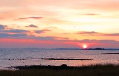 the sun is setting over the ocean and some grass