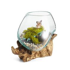 a fish bowl with moss and rocks in it sitting on a piece of driftwood