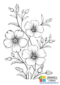 a drawing of flowers with leaves and stems on the side, in black and white