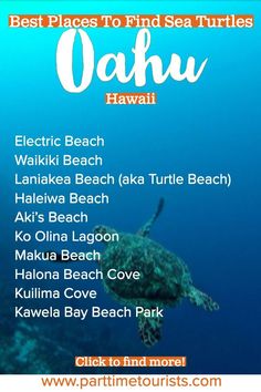 the best places to find sea turtles in hawaii