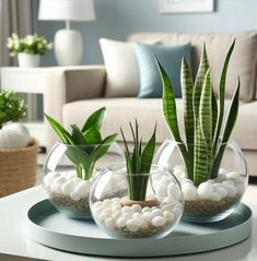 three glass vases filled with plants on top of a table next to a couch