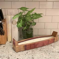 a potted plant sitting on top of a wooden tray next to a knife holder