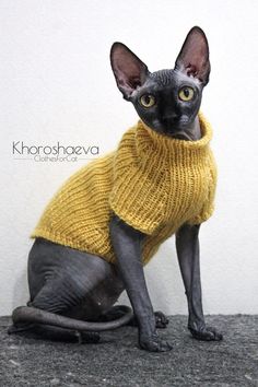 a black cat wearing a yellow sweater sitting on top of a gray floor next to a white wall