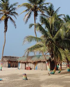 palm trees on the beach with huts in the background