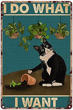 a black and white cat sitting on the ground next to a potted plant that says i do what i want