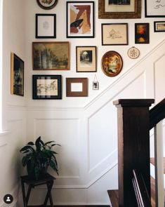 there are many framed pictures on the wall above the stairs in this house, along with a potted plant