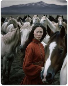 a woman standing in front of a herd of horses