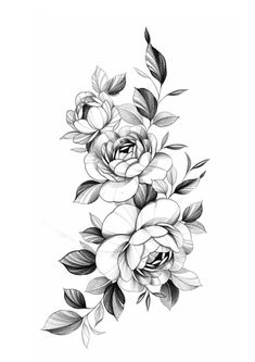 a black and white drawing of flowers with leaves on the bottom half of each flower