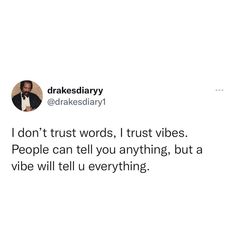 a tweet that reads, i don't trust words, trust vibes people can tell you anything, but a vibe will tell u everything