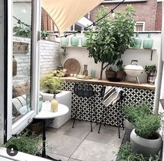 an outdoor kitchen with potted plants on the counter