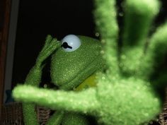 kermie the frog looking out from behind a green plant