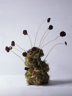 an arrangement of flowers and moss in a vase