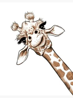 a drawing of a giraffe's head and neck