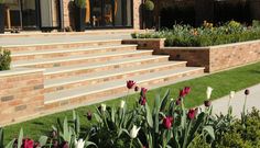 some red and white tulips are in front of the steps to a house