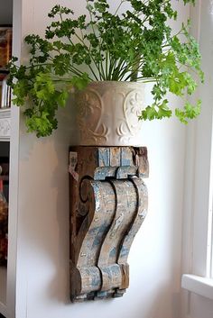 a potted plant sitting on top of a wooden shelf next to a white wall