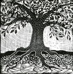 a black and white drawing of a tree with lots of leaves on the branches, surrounded by water