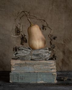 a squash sitting on top of an old stack of books with vines growing out of it