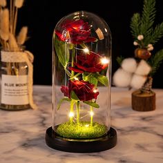 red flowers in a glass dome with green grass and lights on the bottom, sitting on a marble table