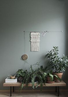 some plants are sitting on a table in front of a wall