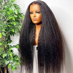 Ashimary Hair Provide Transparent hd 13x4 Lace Front kinky Straight Hair HD Lace Wig 4x4/13x4/13x6 Human Hair Wigs is in stock. Long Curly Lace Wig 10-28 Inch Fast Free Shipping for Black Women, Invisible Lace Wigs Raw Indian Hair, Curly Lace Wig, Long Human Hair Wigs, Lace Hair, Lace Closure Wig, Human Hair Lace Wigs, Straight Human Hair, Straight Wig, Natural Hair Color