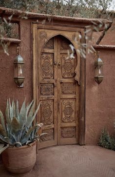 a potted plant sitting in front of a wooden door